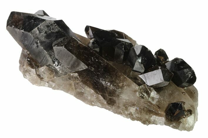 Dark Smoky Quartz Crystal Cluster - Brazil #138469